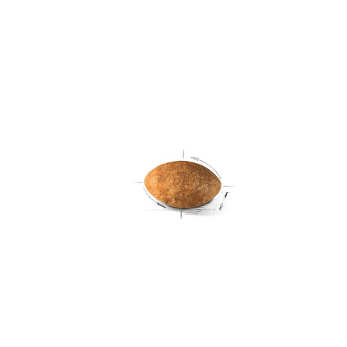 Royal Canin Feline Persian Adult Crocchette Per Gatti Sacco 4kg-3