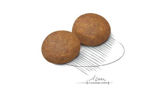 Royal Canin Crocchette Per Cani Adulti 5Anni+ Taglia Grande Sacco 15kg-3