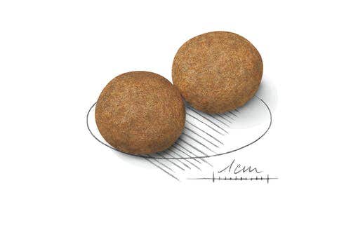 Royal Canin Crocchette Per Cani Adulti Taglia Media Sacco 15kg-4