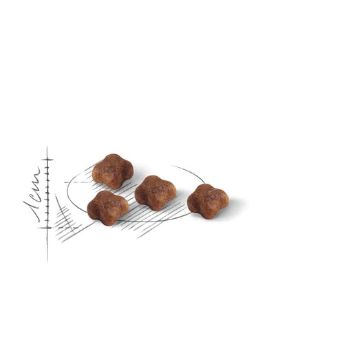 Royal Canin Feline First Age Mother And Babycat Crocchette Per Gatti Sacco 400g-3