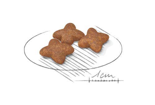 Royal Canin Crocchette Per Cani Adulti Taglia Mini Sacco 8kg-2