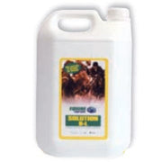 Equine Supreme Solution B L Liquido Coadiuvante Infiammazioni Articolari Per Equini 1Kg-1