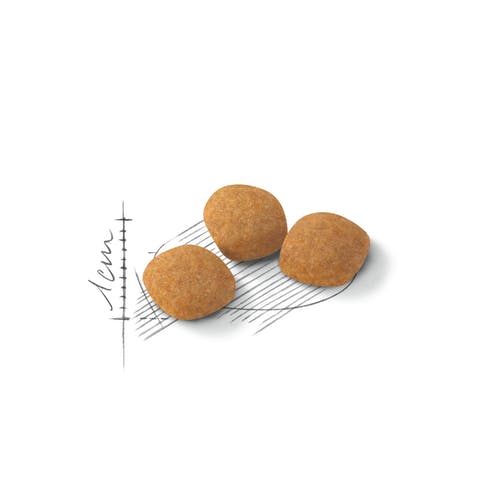 Royal Canin Feline Preference Protein Exigent Crocchette Per Gatti Sacco 400g-2