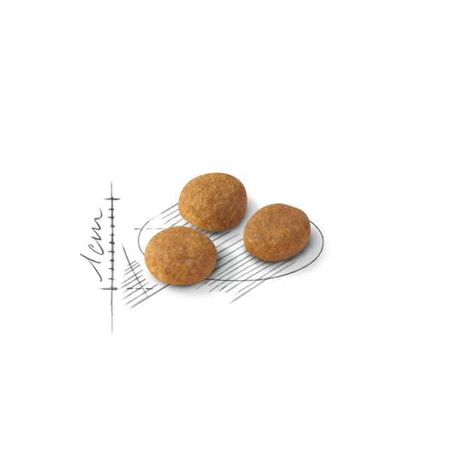 Royal Canin Feline Preference Aroma Exigent Crocchette Per Gatti Sacco 400g-2