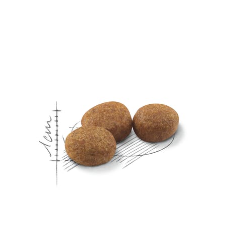 Royal Canin Feline Regular Sterilised 37 Crocchette Per Gatti Sacco 4kg-3