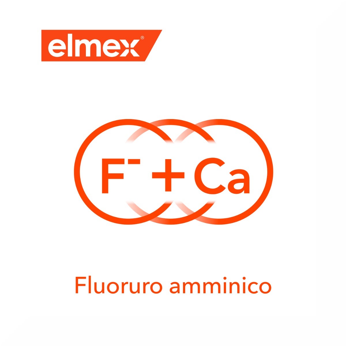 Elmex Spazzolino Educativo Bimbi Bambini 0/3 Anni Morbido-2