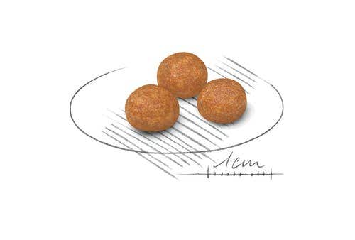 Royal Canin Crocchette Per Cani Adulti Taglia Molto Piccola Sacco 1,5kg-6