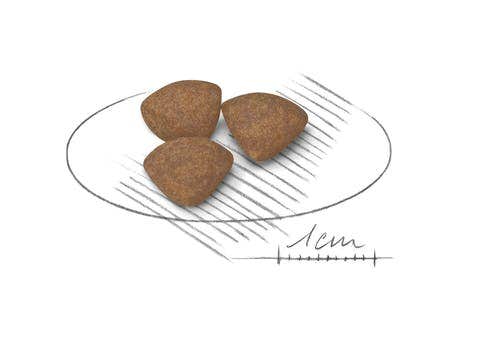 Royal Canin Crocchette Per Cuccioli Taglia Mini Sacco 2kg-2