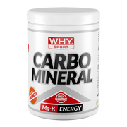 Whysport Carbo Mineral Arancia 400g-1