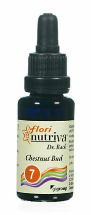 CHESTNUT BUD FLORI NUTRIVA-1