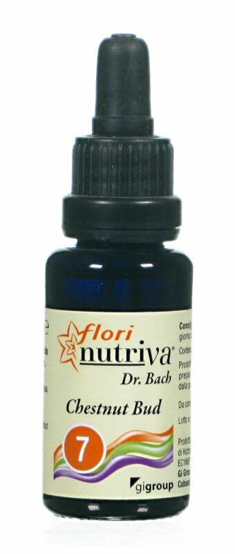 CHESTNUT BUD FLORI NUTRIVA-1