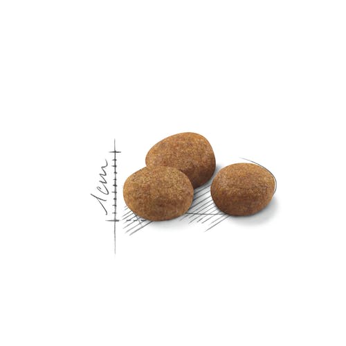 Royal Canin Feline Sterilised 7+ Crocchette Per Gatti Sterilizzati 7Anni+ Sacco 1,5kg-3