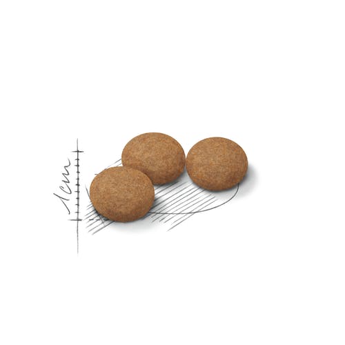 Royal Canin Feline Sterilised Ageing 12+ Anni Crocchette Per Gatti Senior Sacco 400g-3