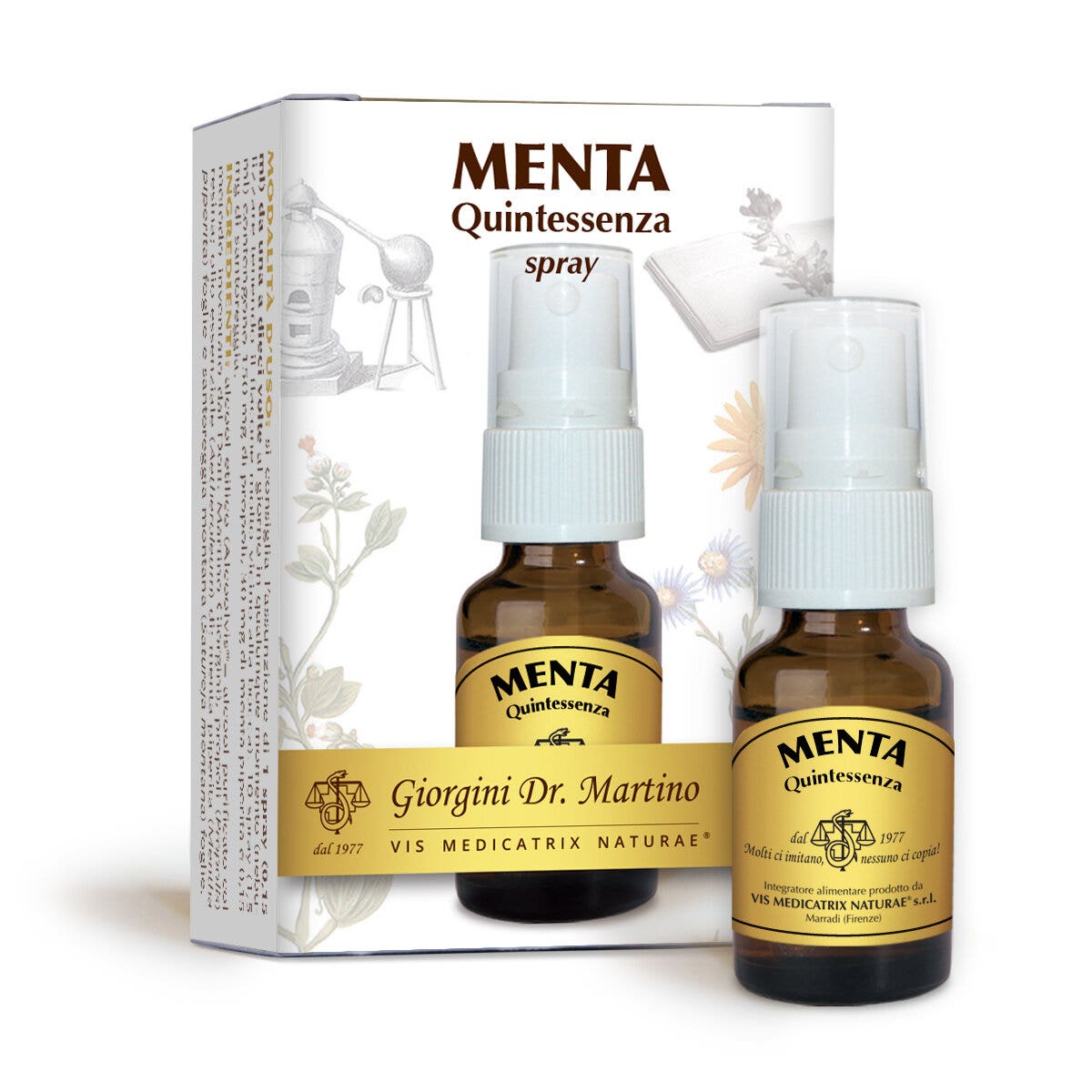 Dr Giorgini Menta Quintessenza Spray 15ml-1