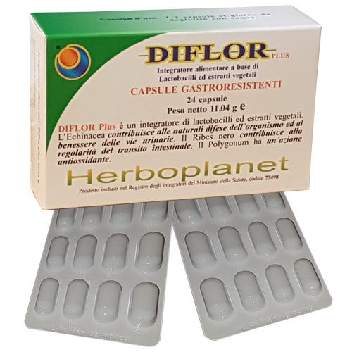 Diflor Plus 24 Capsule 11,04g-1