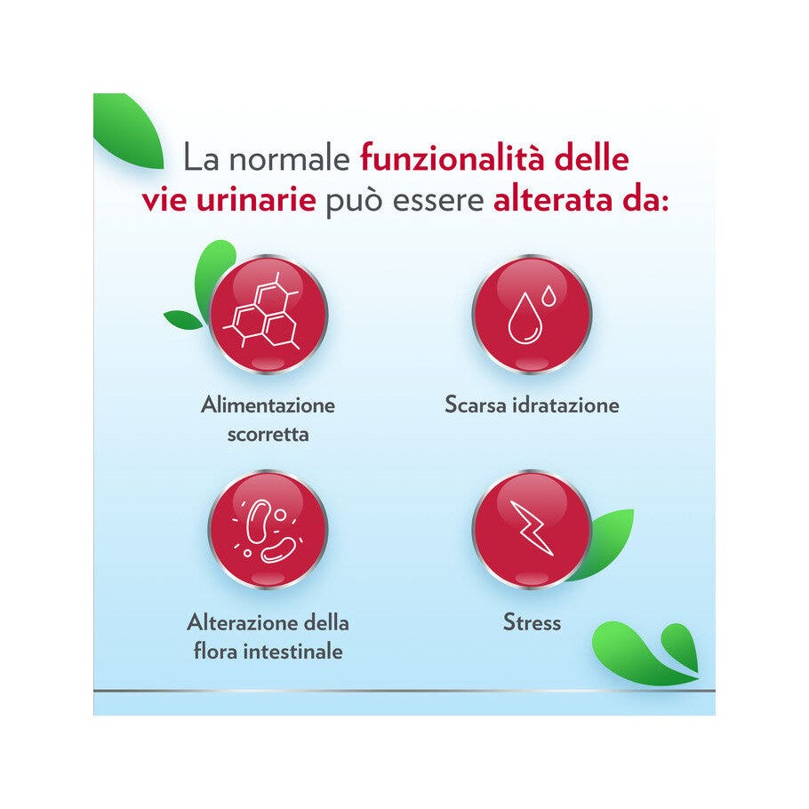 Gyno-CanesCystil Integratore Alto Dosaggio di D-Mannosio per Benessere Delle Vie Urinarie 14 bustine-6