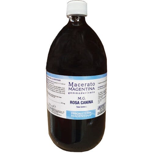 Erboristeria Magentina Rosa Canina Gemmoderivato 1 Litro-1