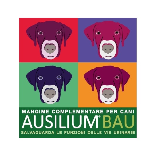 Ausilium Bau Mangime Complementare Per Cistite Cani 300g Con Misurino-1