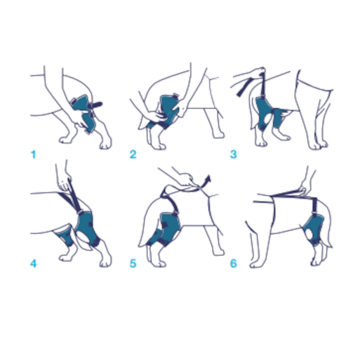 Balto BT Jump Plus Tutore Doppio per Ginocchio Taglia S-4
