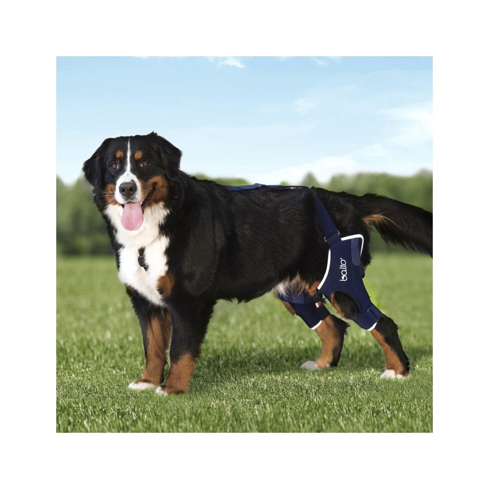 Balto BT Jump Plus Tutore Doppio per Ginocchio Taglia S-2