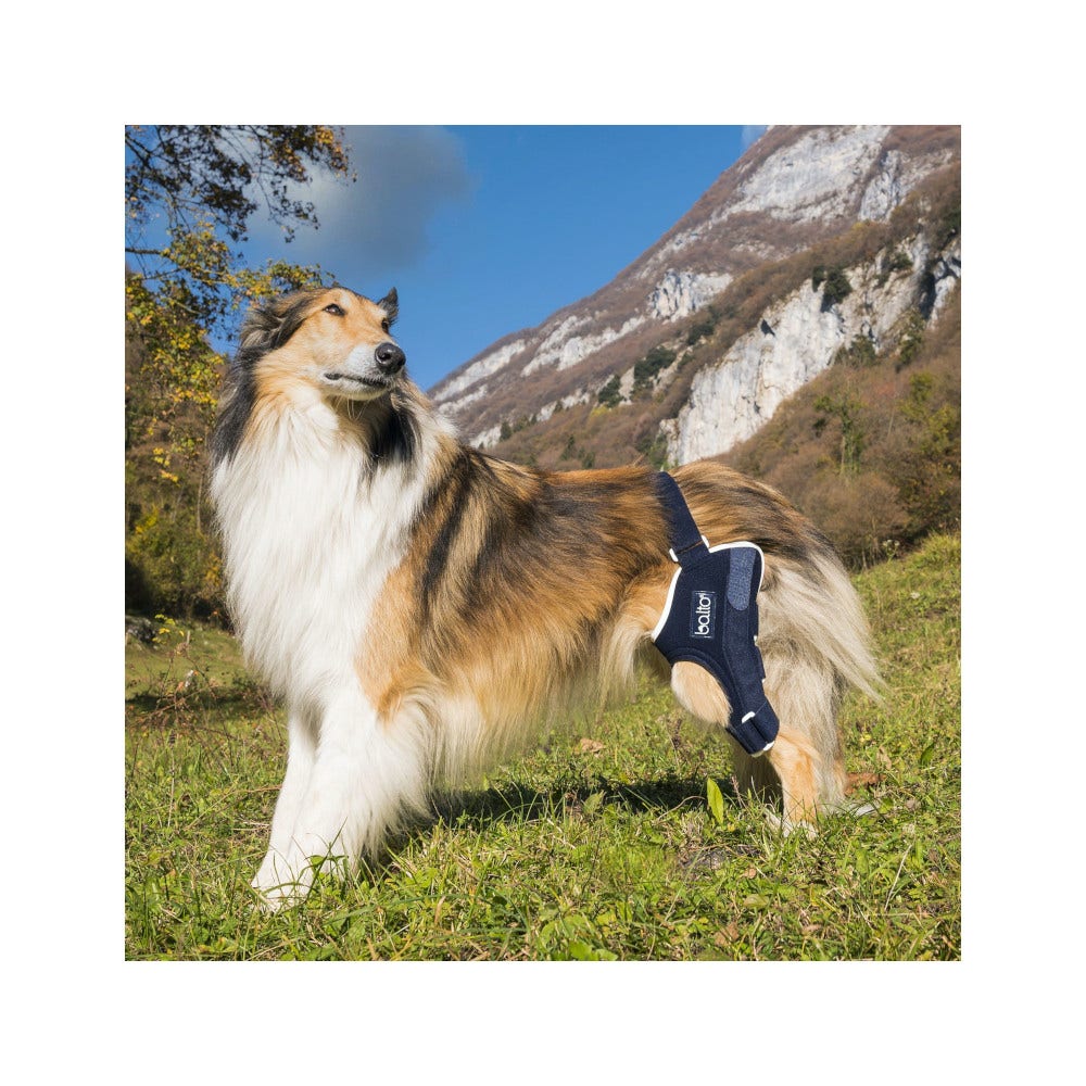 Balto BT Jump Tutore Ginocchio Sinistro Taglia XL-2
