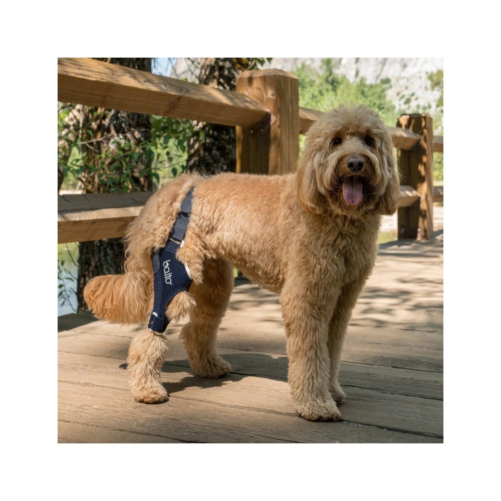 Balto BT Jump Tutore Ginocchio Destro Taglia XXS-2