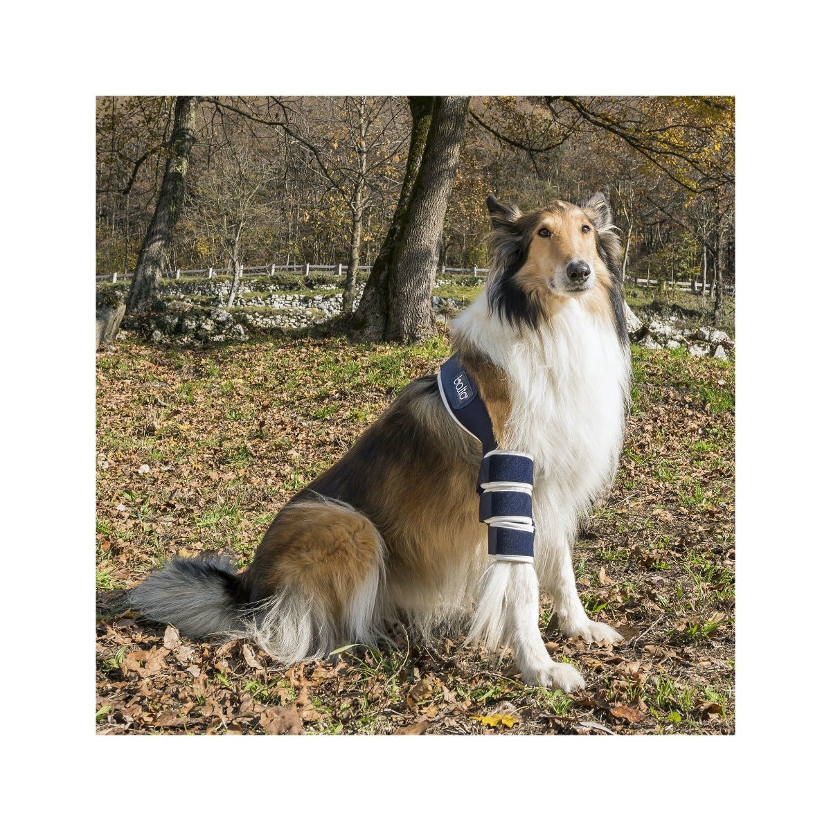 Balto BT Soft Tutore per Gomito Sinistro Taglia XL-2