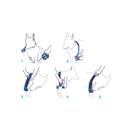 Balto BT Soft Tutore per Gomito Destro Taglia XL-3