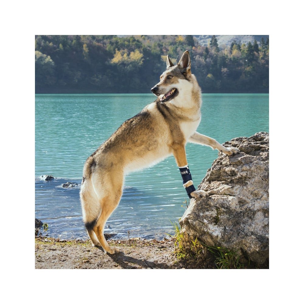 Balto BT Splint Tutore Per Lassità di Carpo o Tarso Taglia M-1