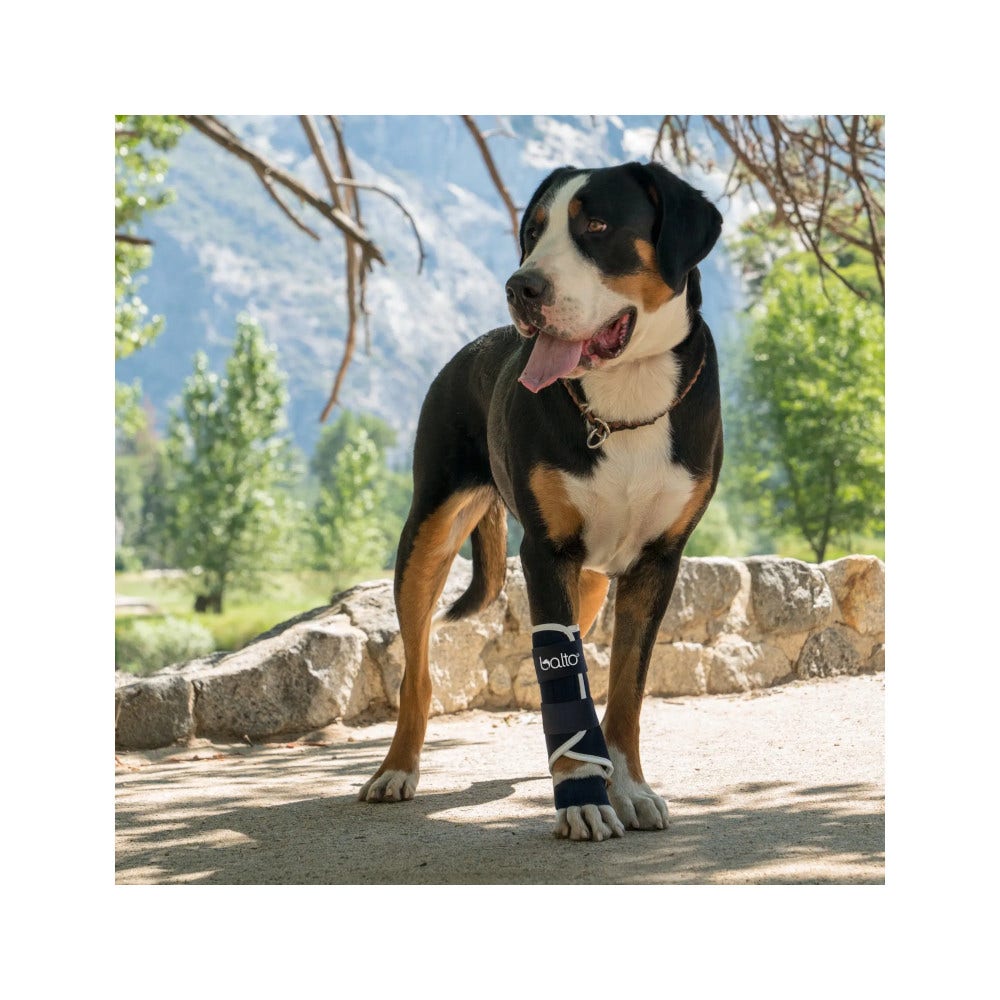 Balto BT Splint Tutore Per Lassità di Carpo o Tarso Taglia M-2