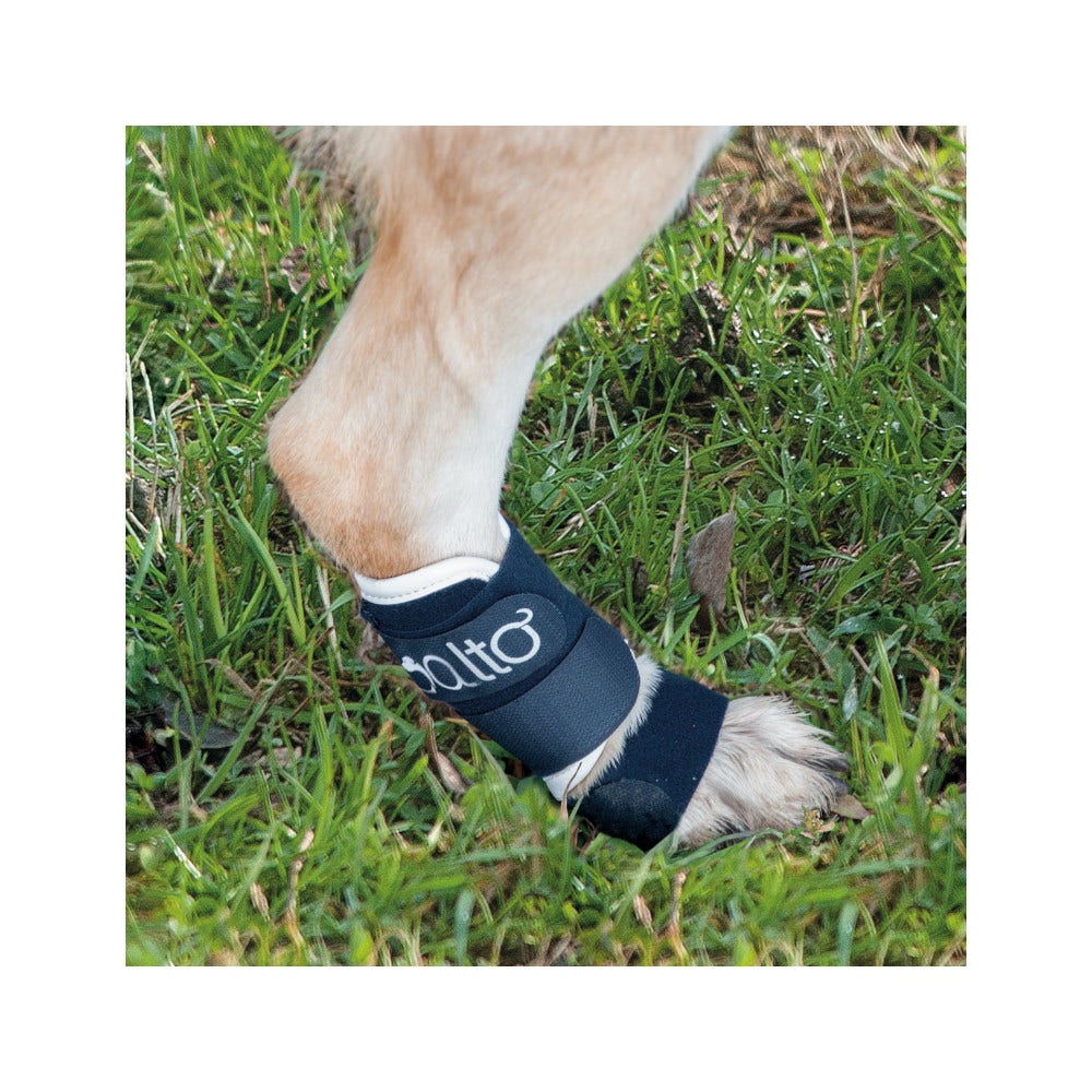 Balto BT Splint Tutore Per Lassità di Carpo o Tarso Taglia M-3