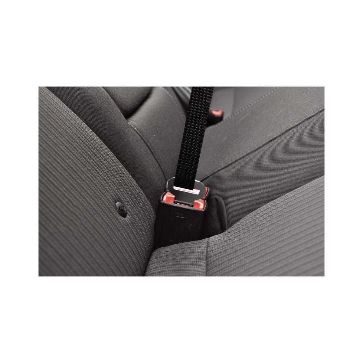 Camon Walky Harness Pettorina di Sicurezza Per Cani Taglia L-2
