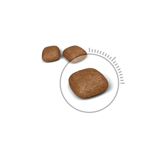 Royal Canin Urinary Care Crocchette Per Gatti 400g-3