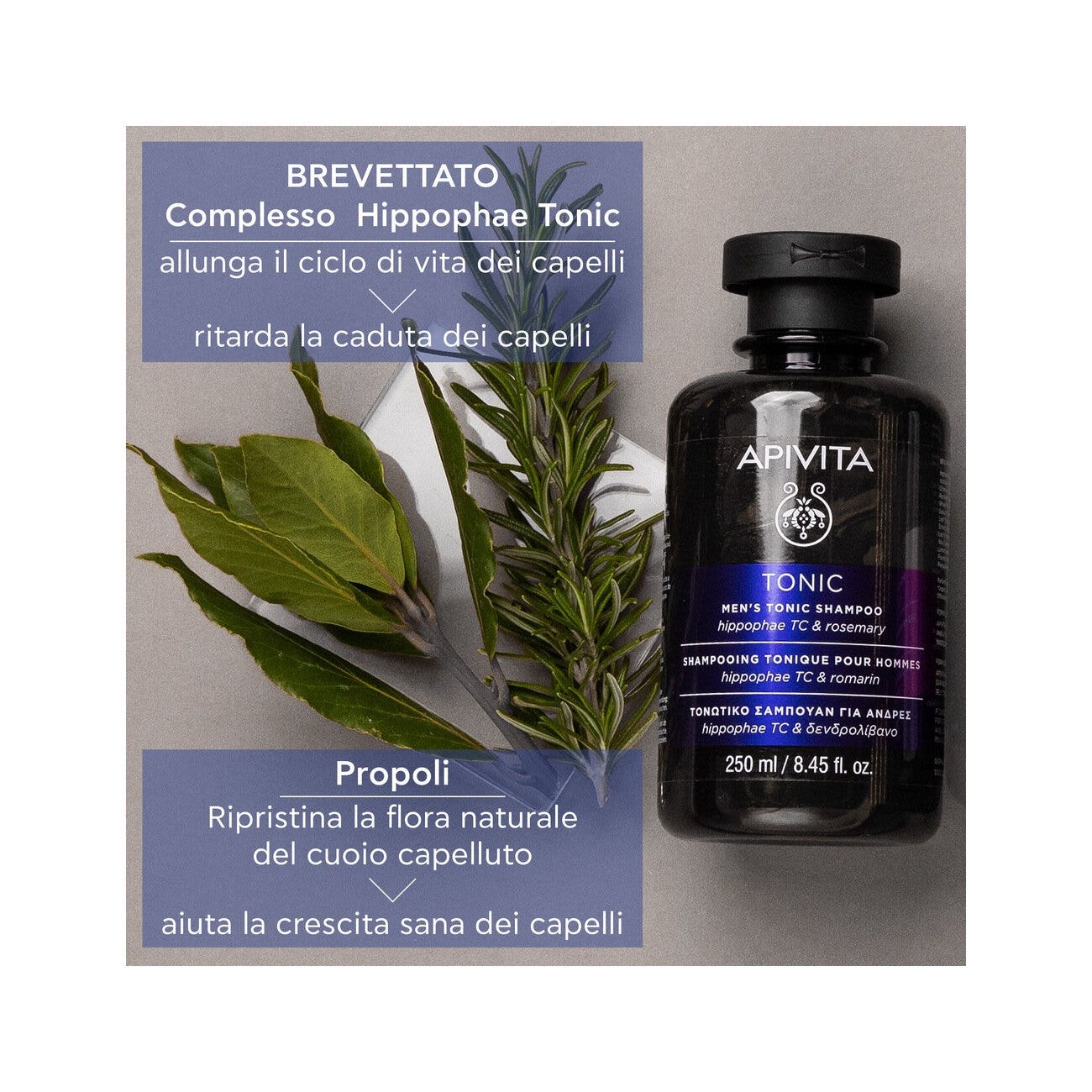Apivita Shampoo Tonificante Uomo Hippophae TC/Rosemary 250ml-6