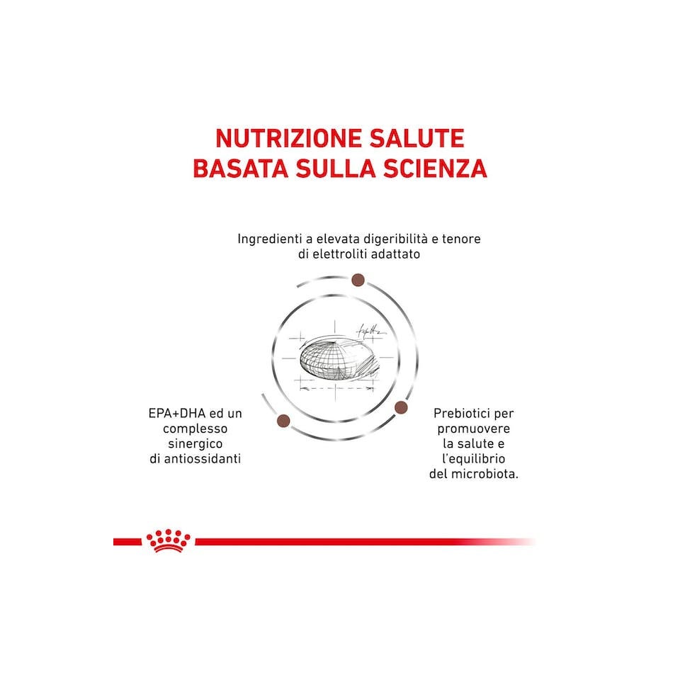 Royal Canin Veterinary Diet Gastrointestinal Cibo Secco Per Cani Adulti Sacco 2kg-3