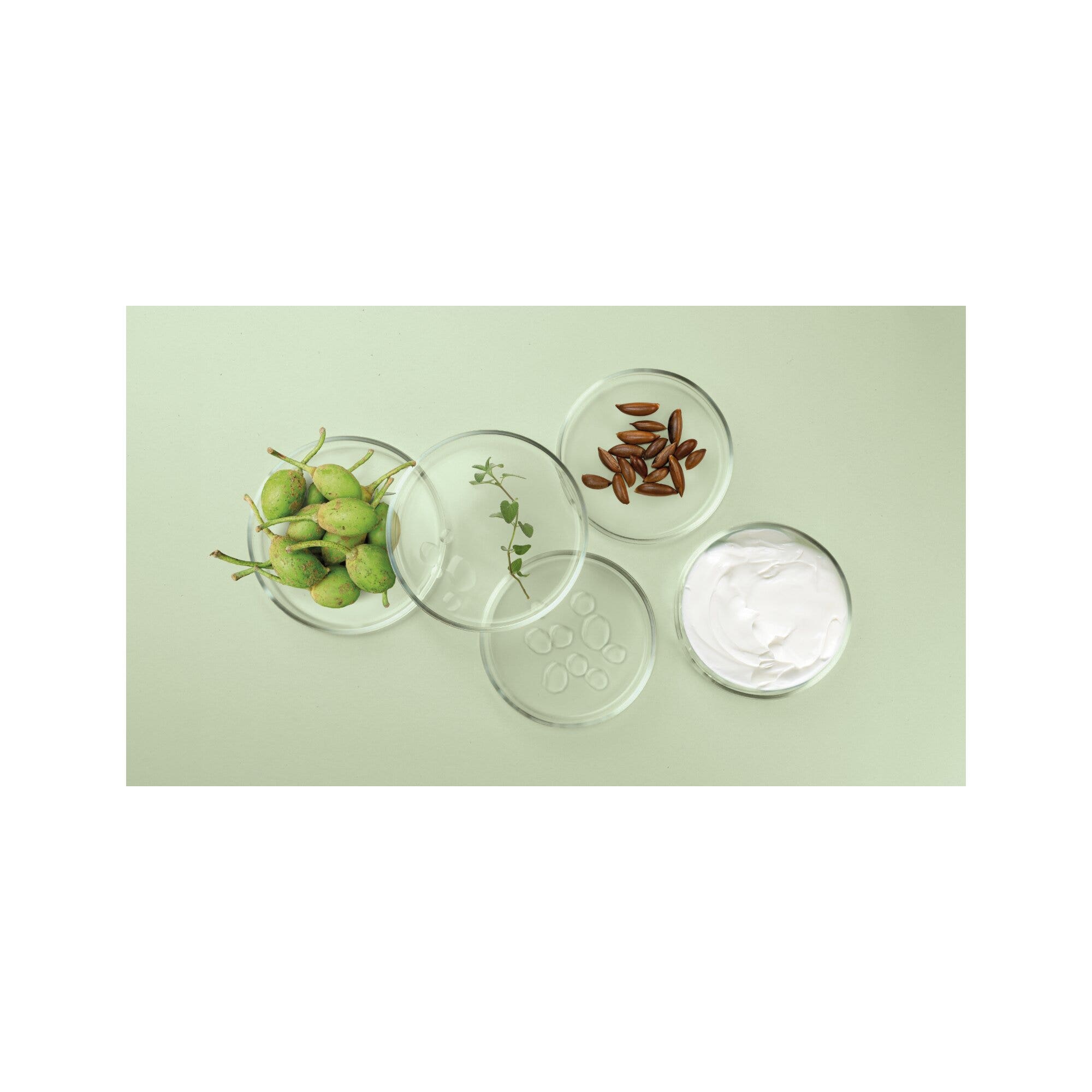 Herbatint Rebuild Mask Maschera Ricosituente 200ml-4