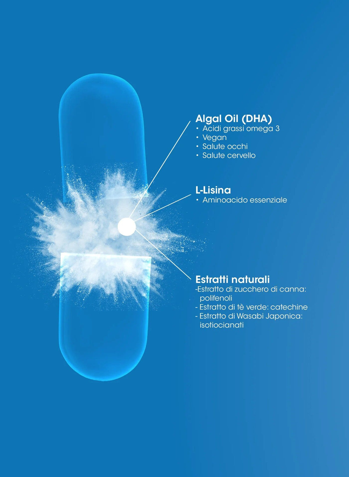 PROLON L PILL 60CPS-3