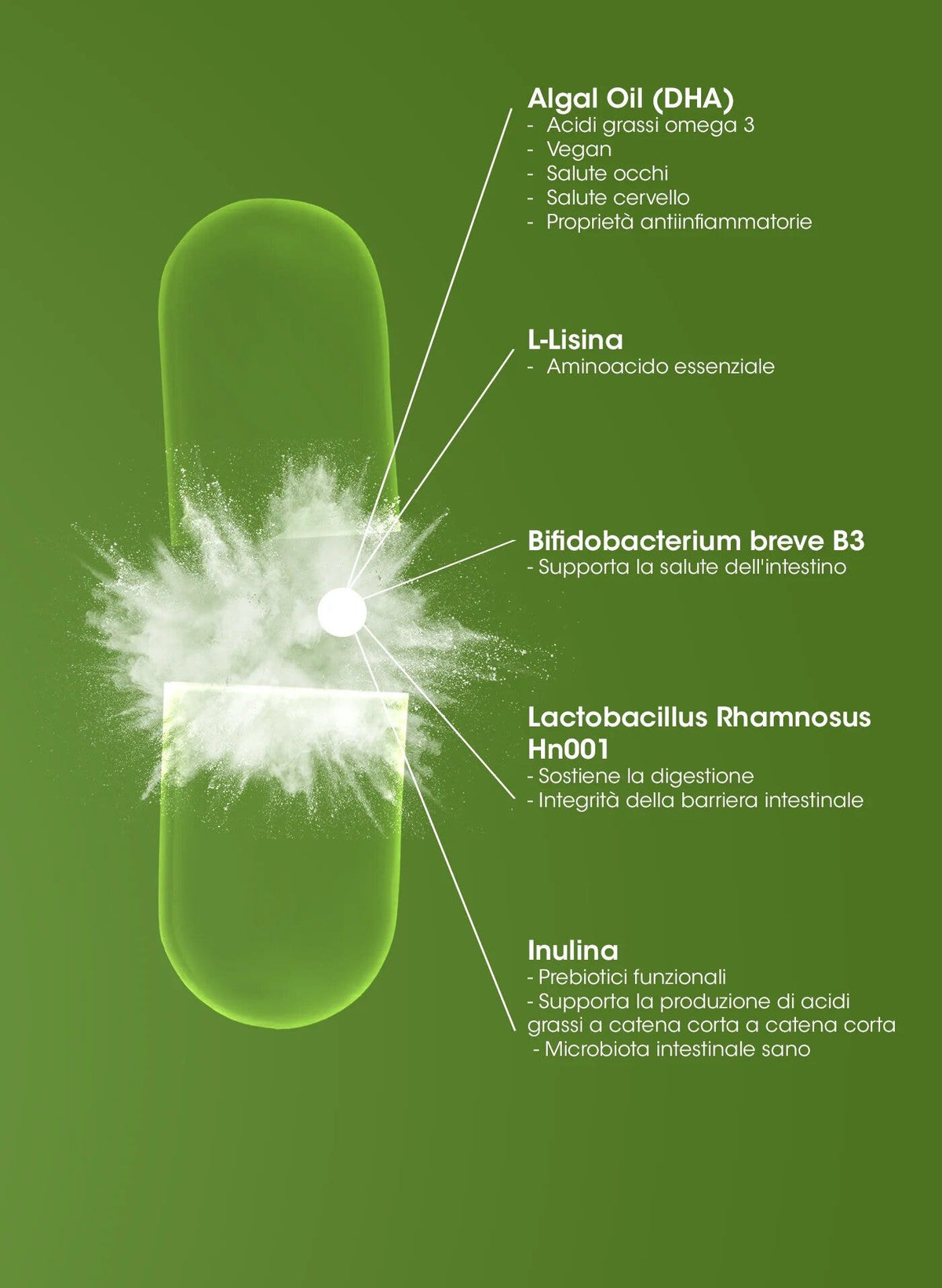 PROLON L BIOME 60CPS-4