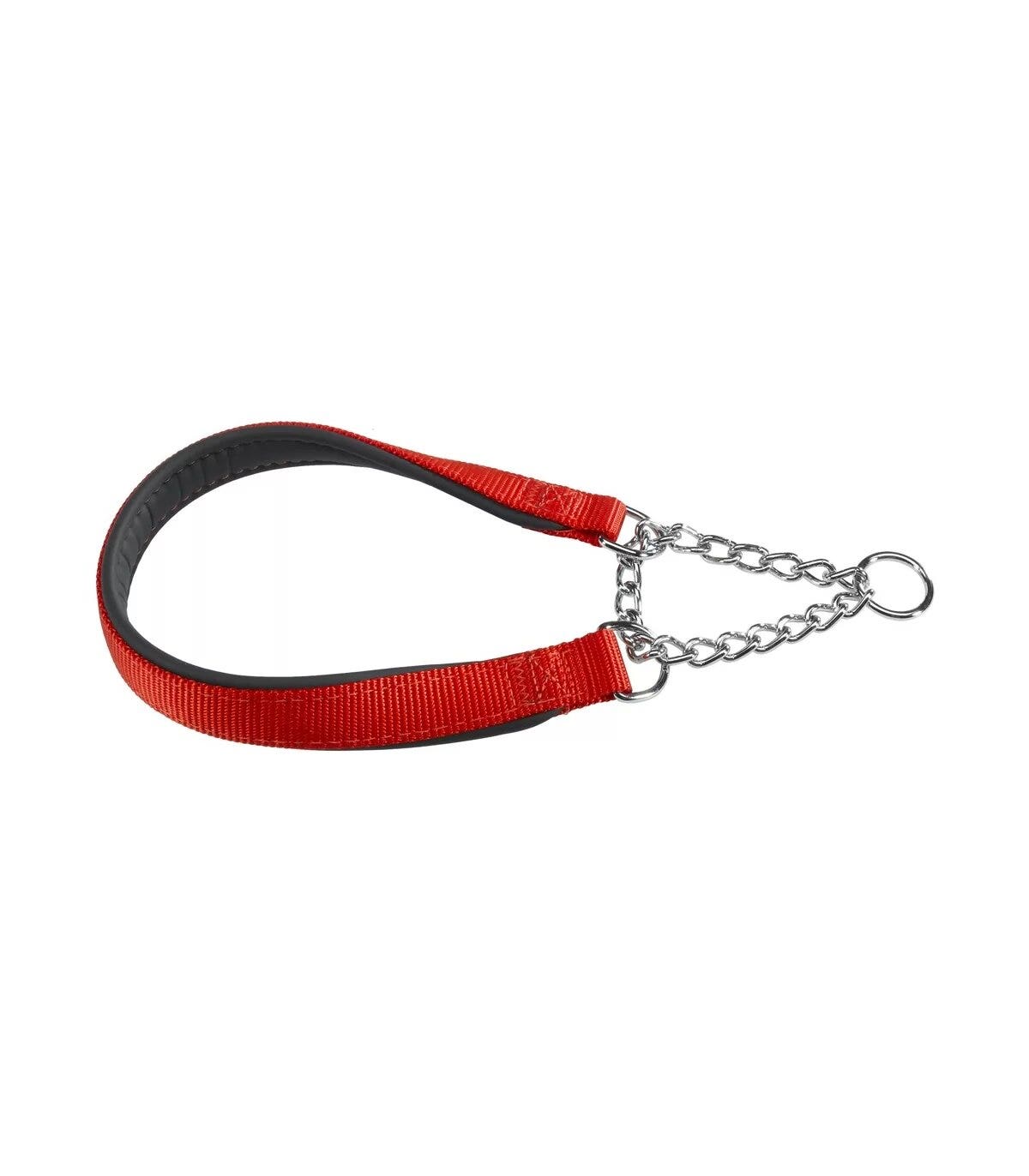 Ferplast Daytona CSS Collare Semistrangolo Nylon Soffice Imbottitura Rosso Per Cani CSS15/45-1