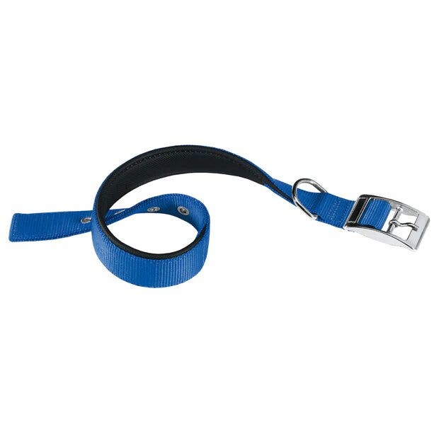 Ferplast Daytona C Collare In Nylon Con Soffice Imbottitura Blu  Per Cani C20/43-1