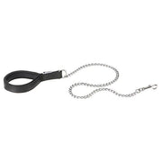 Ferplast Daytona Guinzaglio Corto In Nylon Con Impugnatura Imbottita Nero Per Cani GM25/100-1