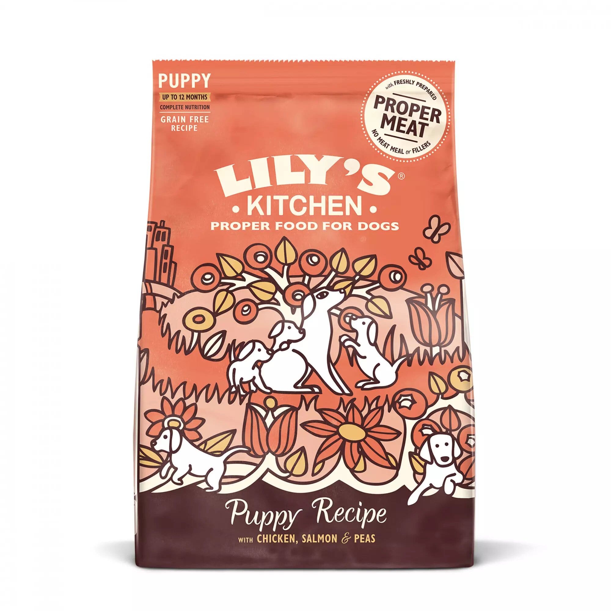 Lily's Kitchen Chicken & Salmon for Puppies 2,5kg-1