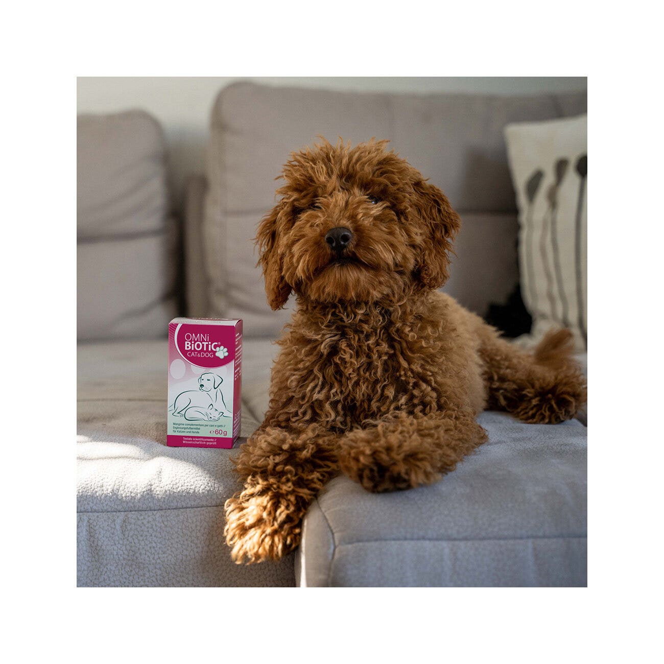 Omni Biotic Cat&Dog Mangime Complementare Per Cani e Gatti 60g-3