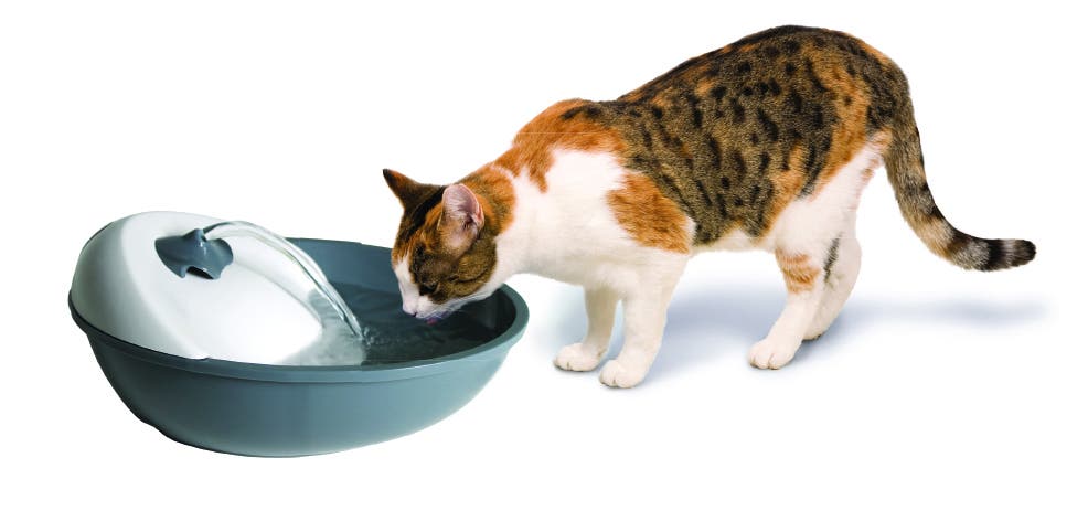 Camon Fontana Automatica Per Cani E Gatti 1,7L-2
