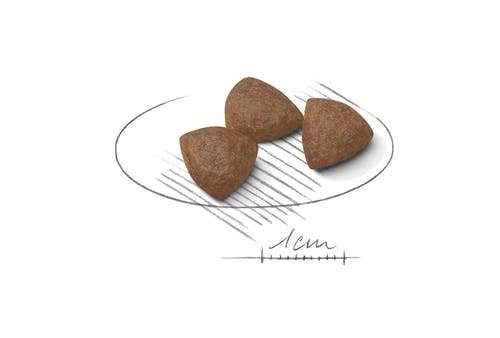 Royal Canin Starter Mother&Babydog Crocchette Per Cagne E Cuccioli Taglia Media Sacco 4kg-1