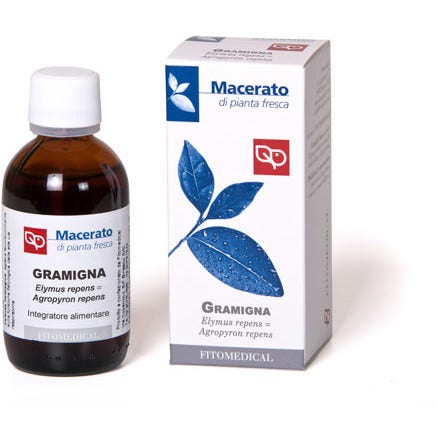 Gramigna Tintura Madre 50ml   - 2