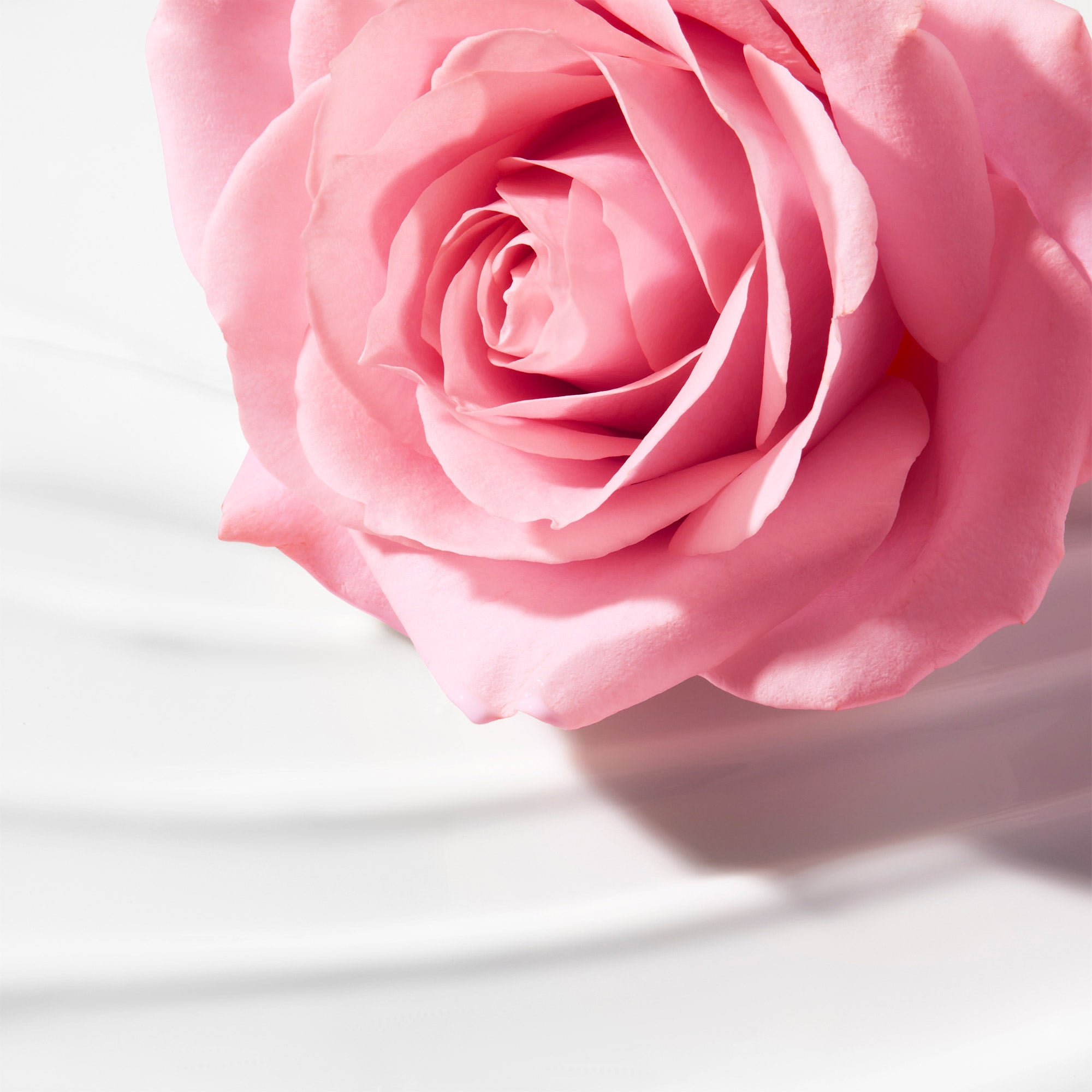 Nuxe Very Rose Latte Struccante Vellutato 200ml  - 5