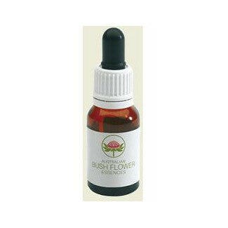 Tall Yellow Top Australian 15ml-3